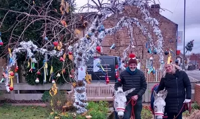 Donkeys arrived and Christmas prayers on the tree